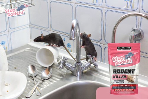Kuinka varmistaa Rat Poisonin turvallinen käyttö kotisi tehokkaaseen suojaamiseen?